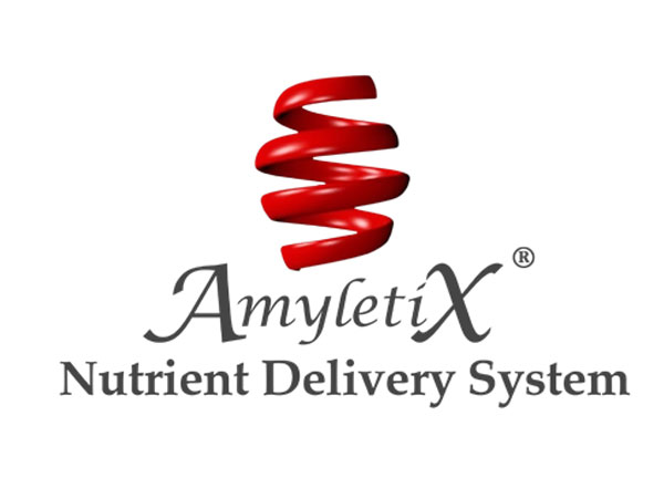 AmyletiX